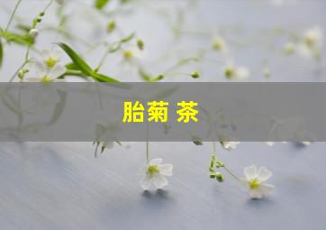 胎菊 茶